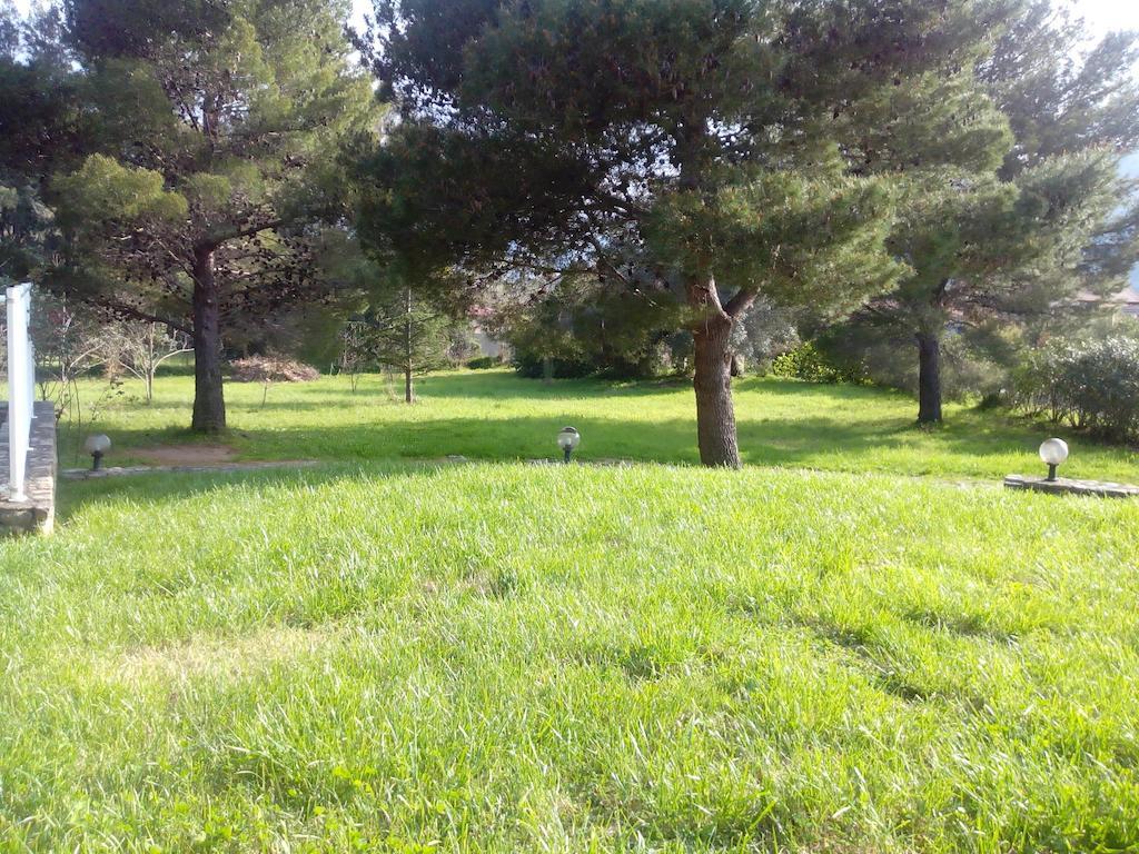 Domaine Les 4 Vents Villa Patrimonio Bagian luar foto